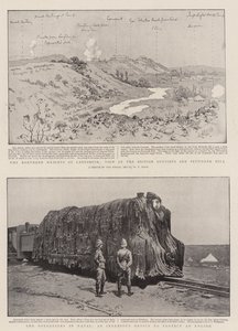 Güney Afrika